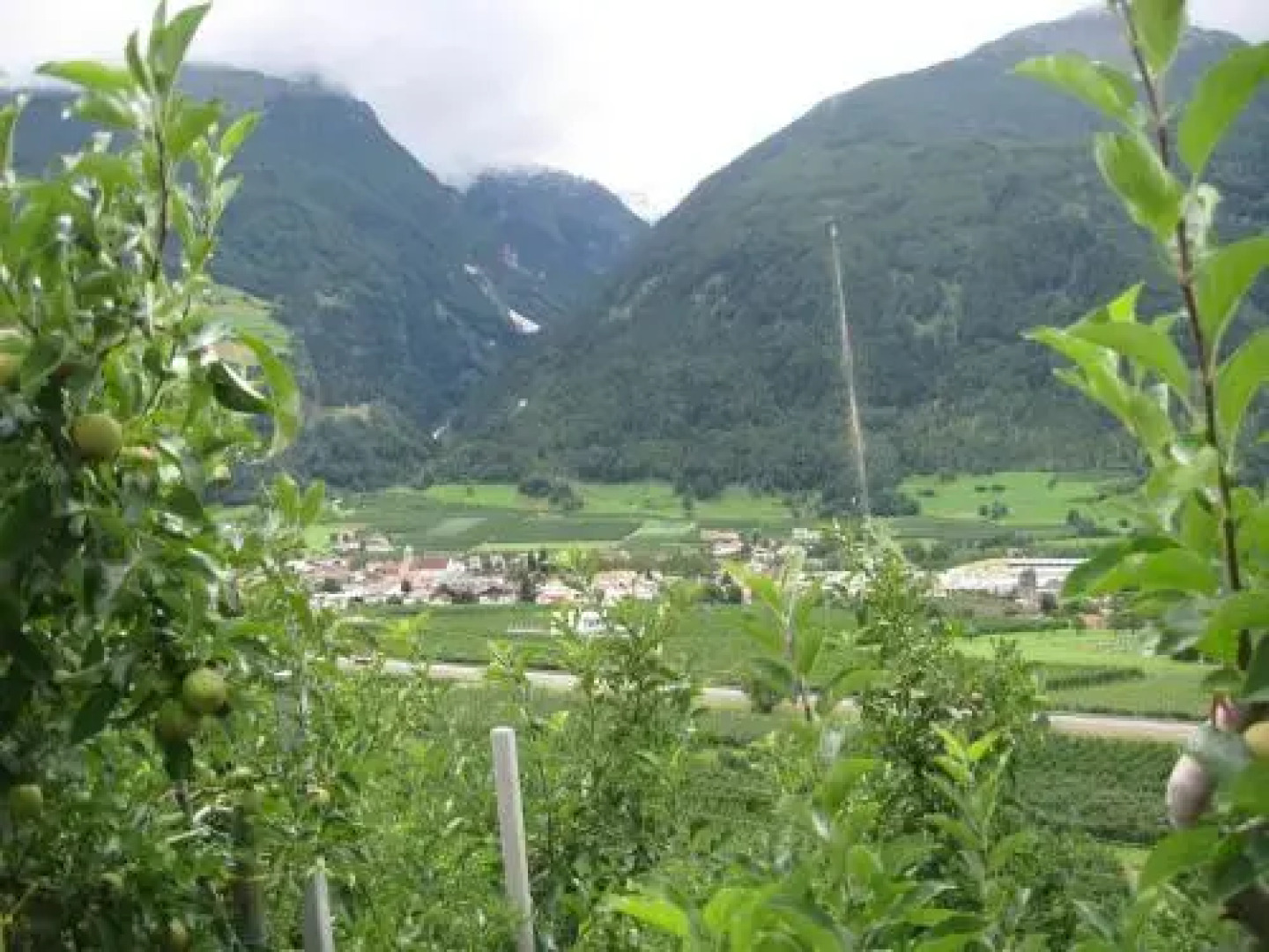 Obstbauernhof Fohlenhof