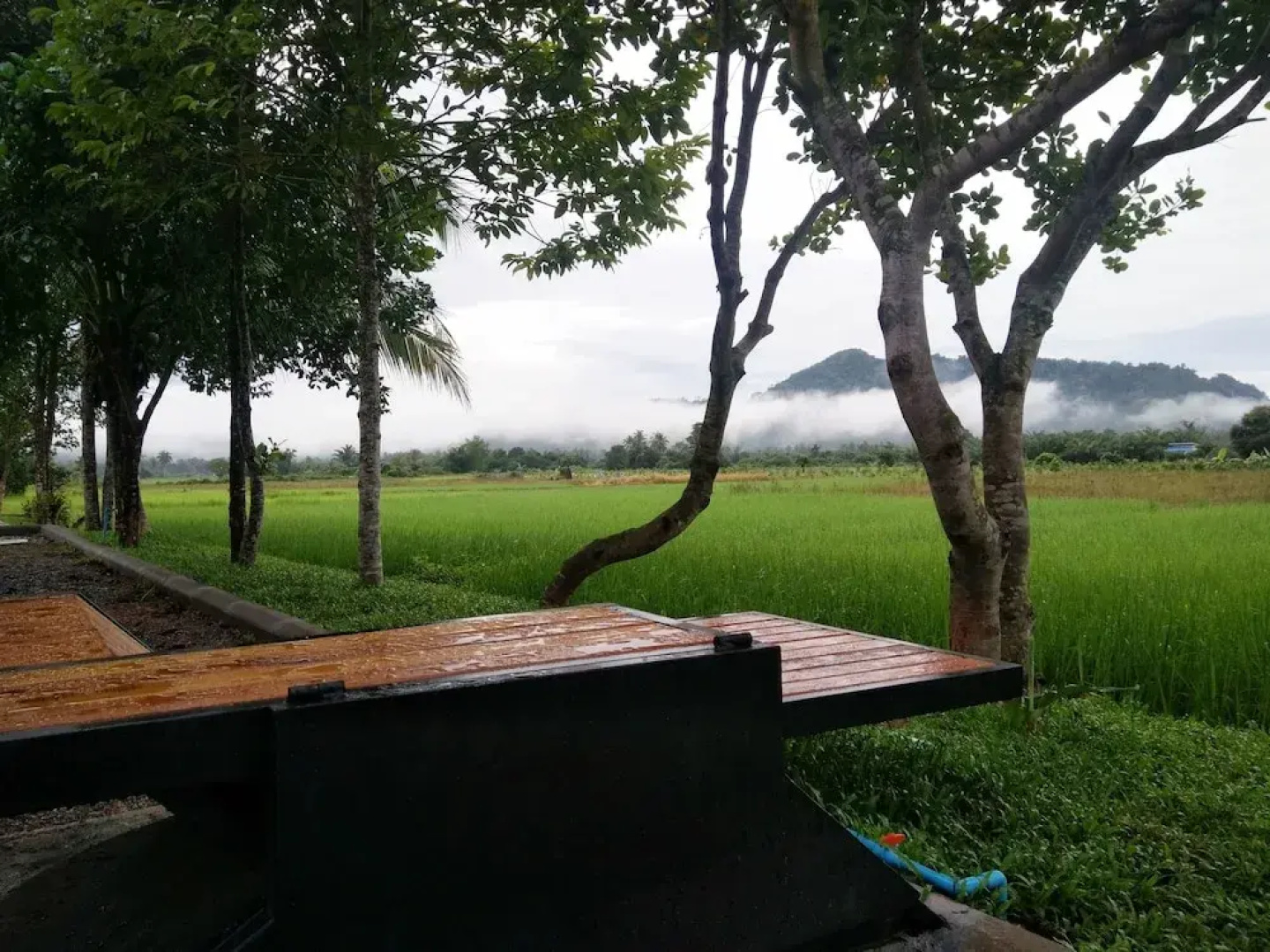 Satun Premium Resort