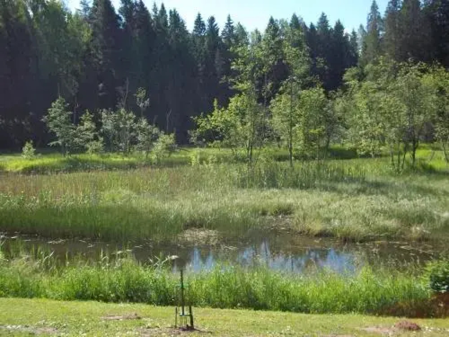 Murmuļmuiža