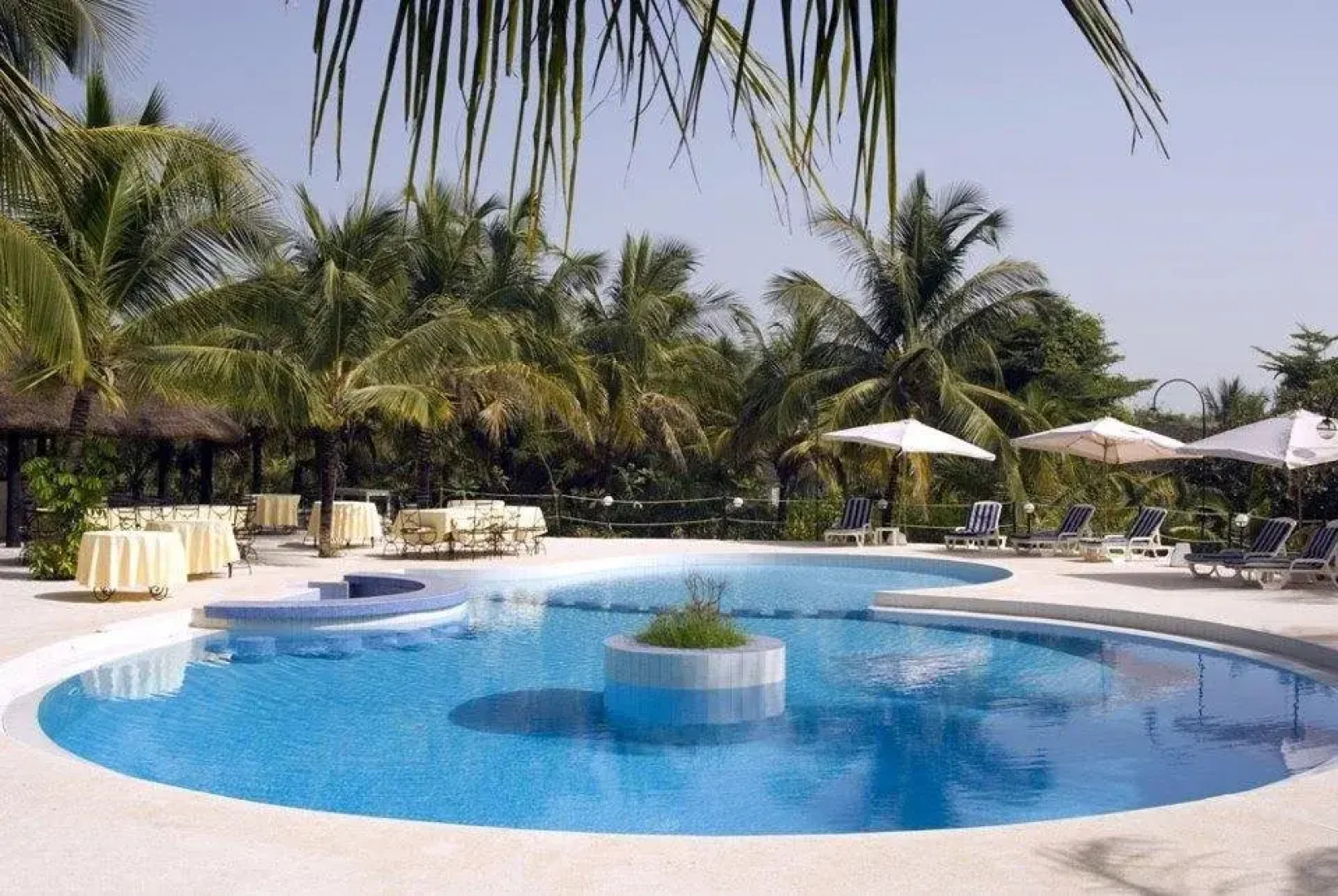 Hibiscus Cap Skiring