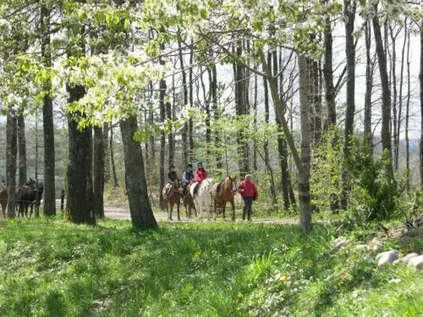 Fattoria Cà Di Gianni