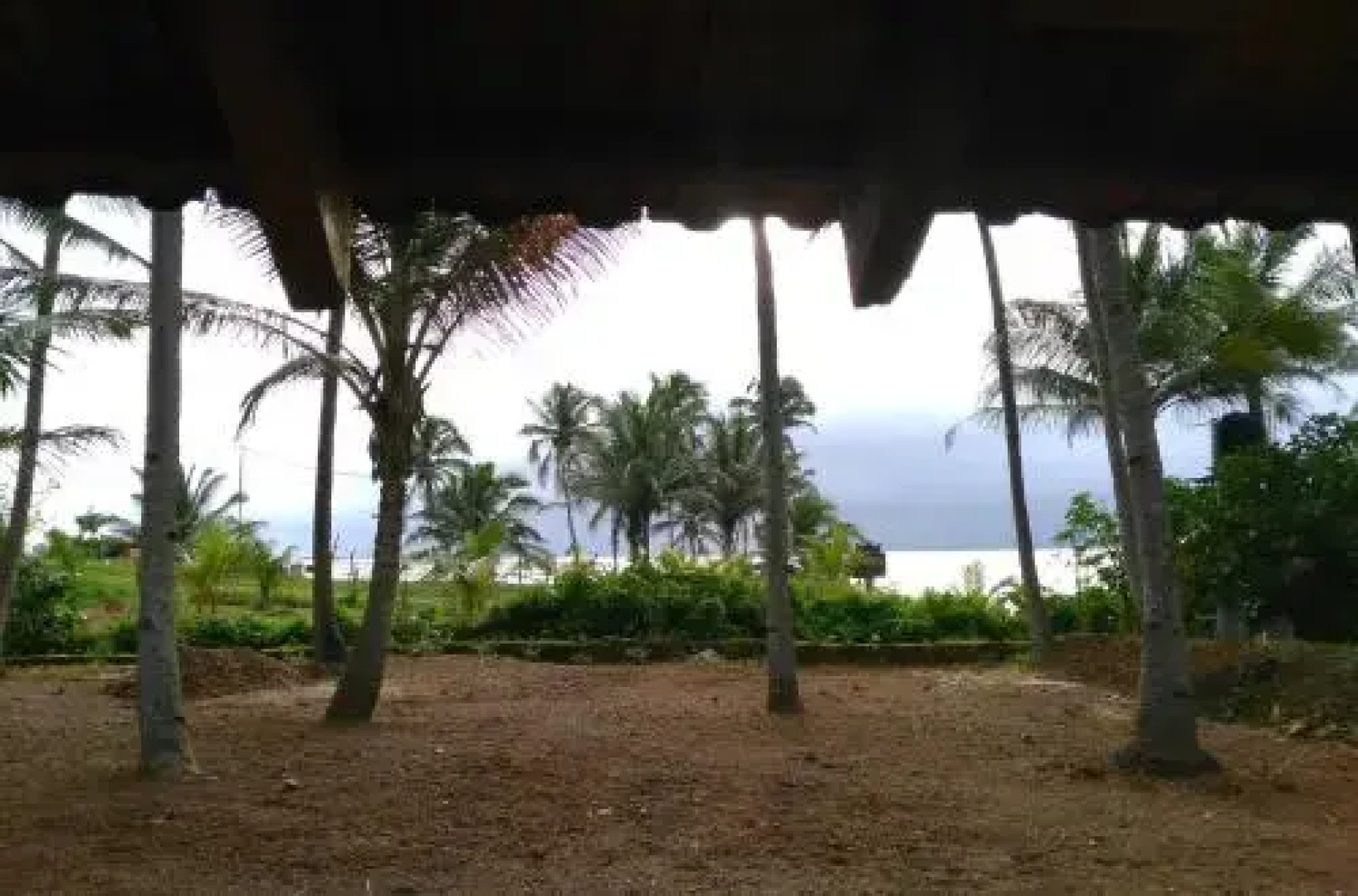 Yuppi Hippi Hideout