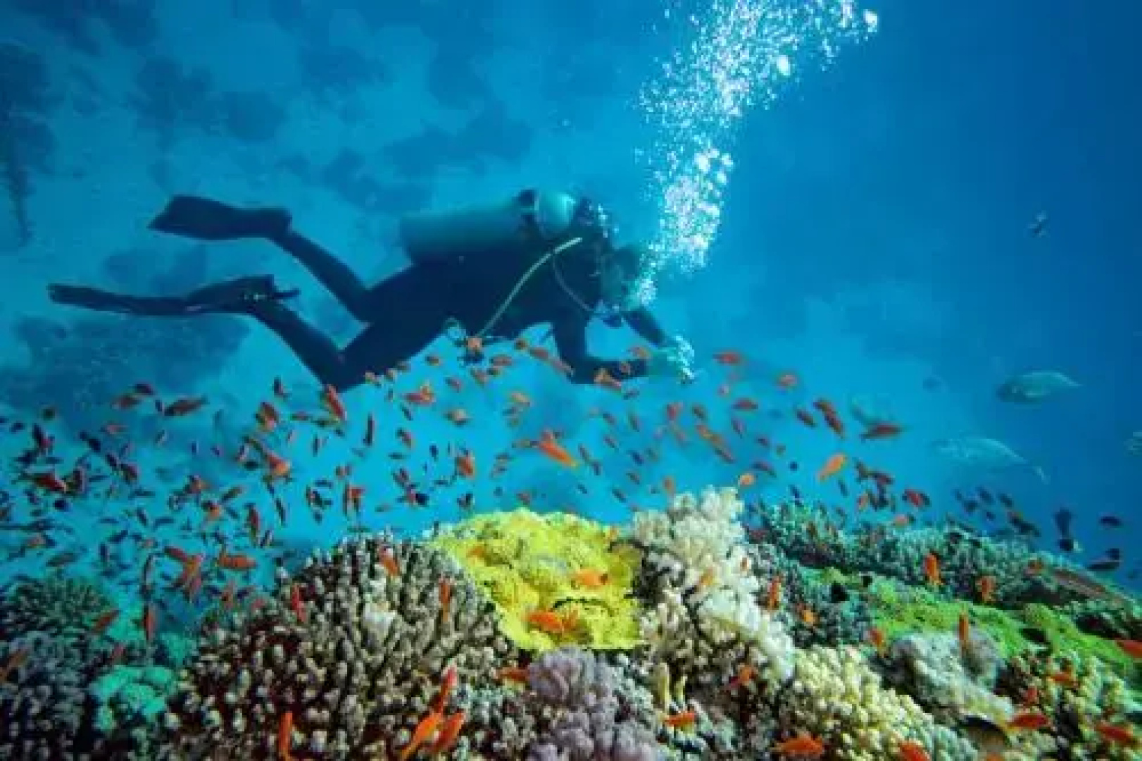 Port Douglas Penthouse at Sea Temple