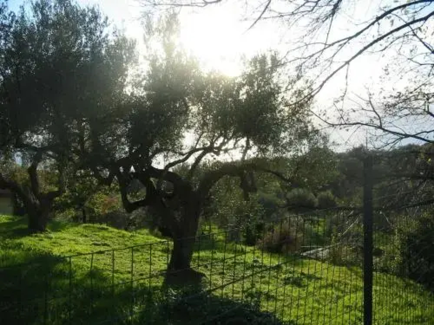 Villa Loremar
