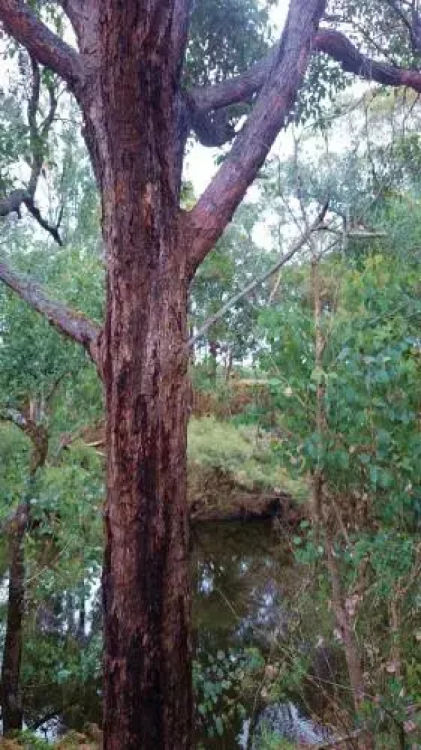 Barrabup Sanctuary BirdHide