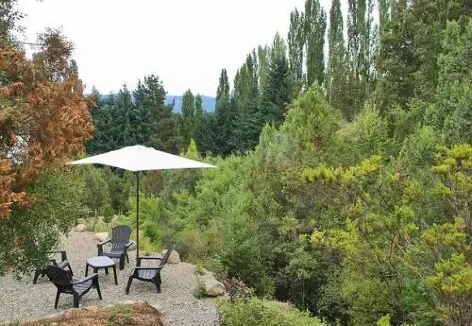 Camino de los Pioneros