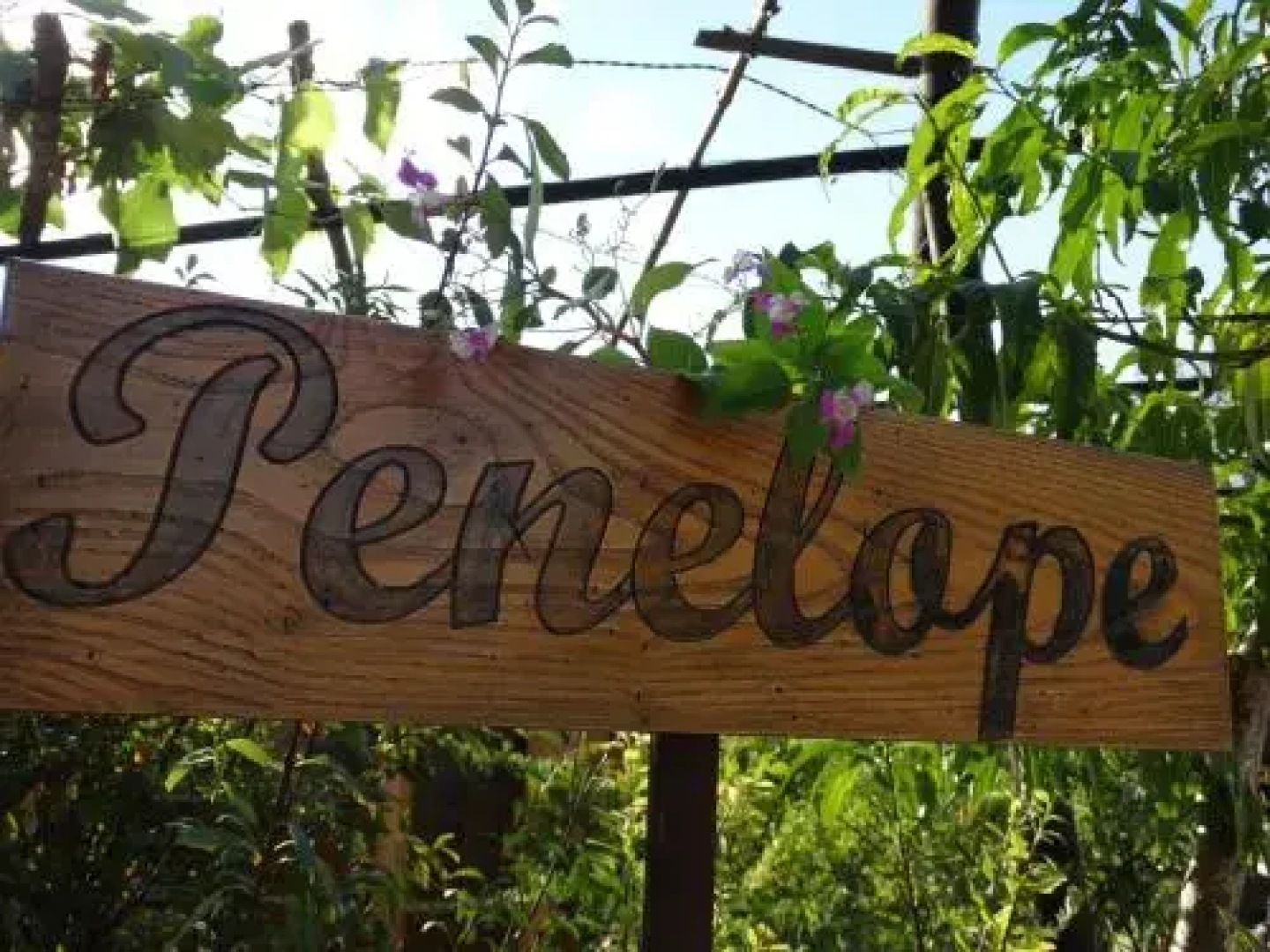 Casa Penelope
