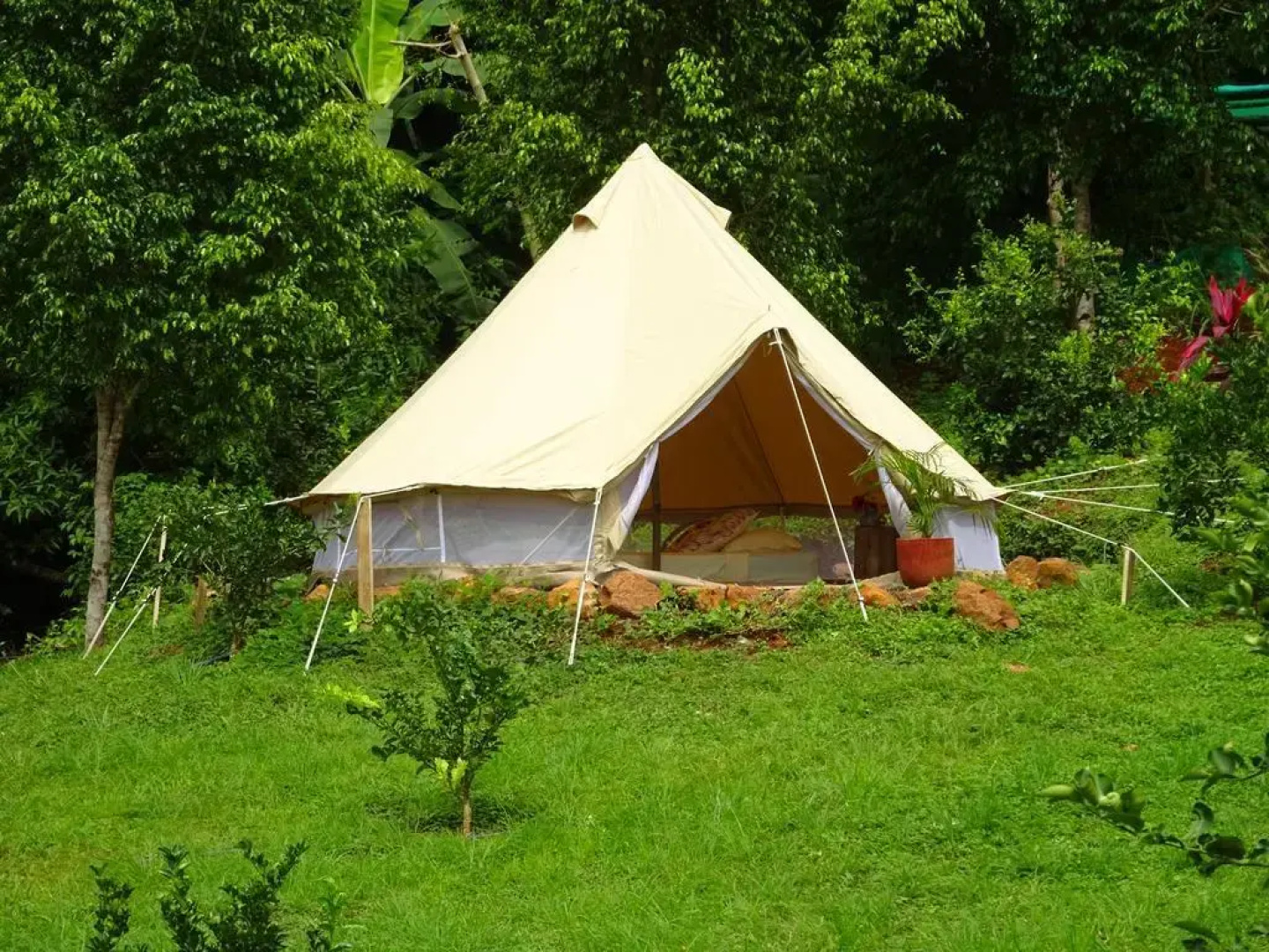 Hostel Alouatta