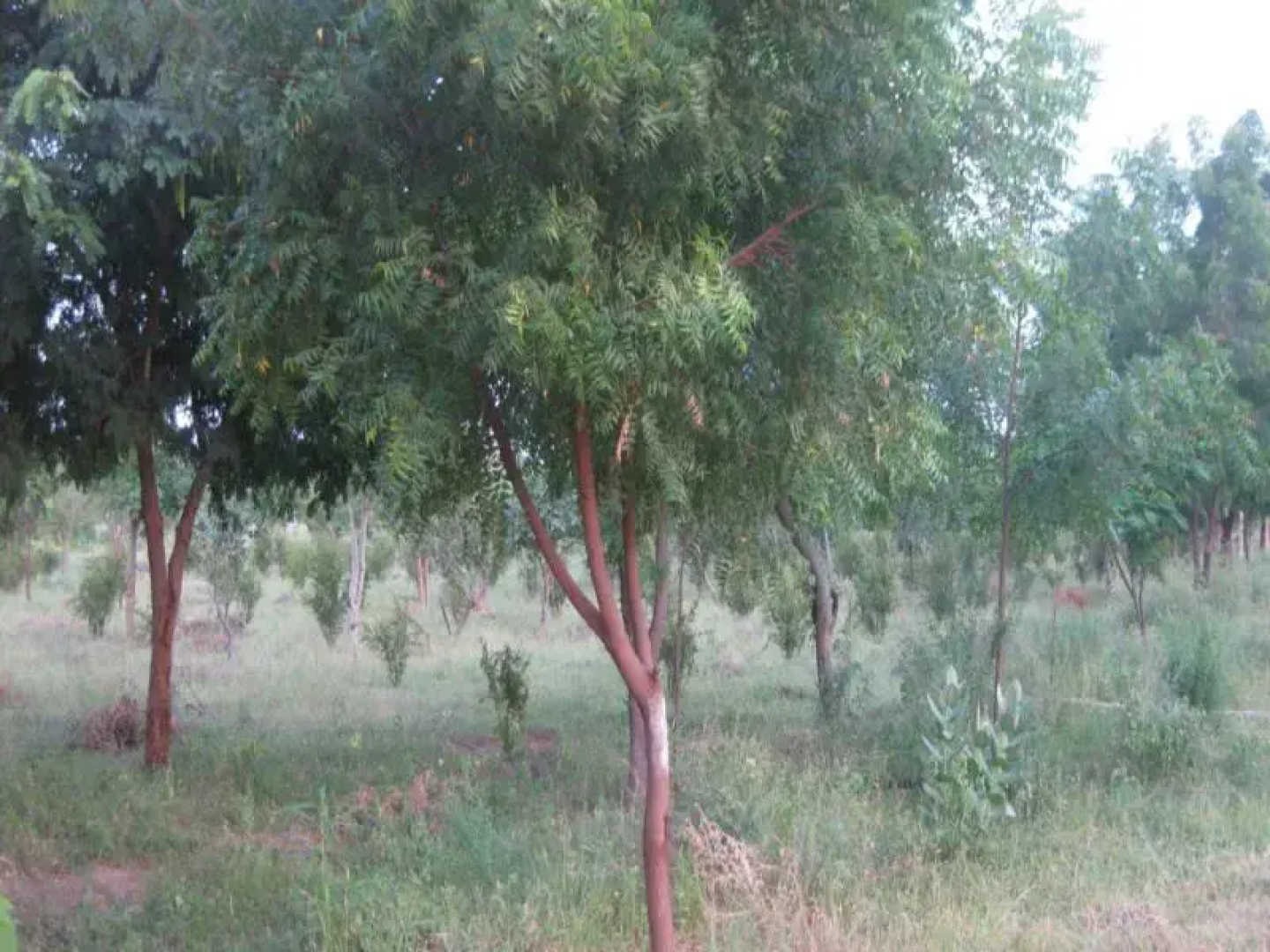 La Villa Holiday Resort