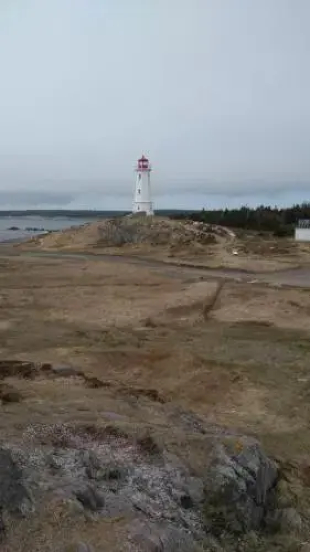 Bear on the Lake Guesthouse