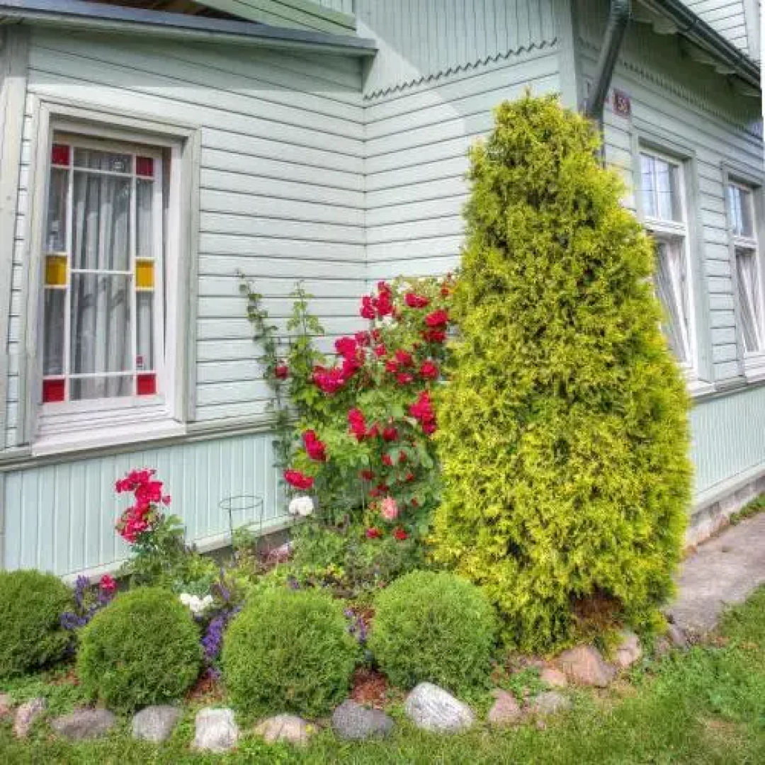 Kassimaja Guesthouse