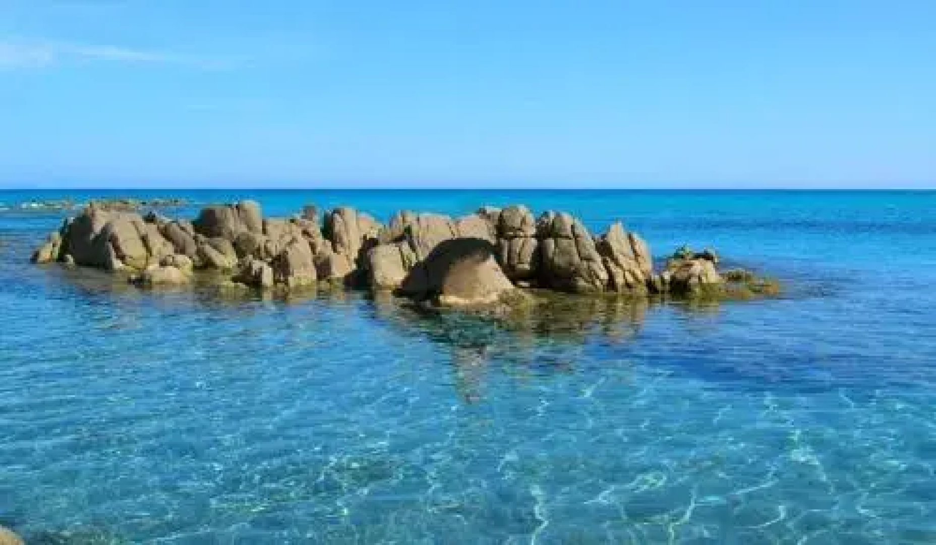 La Ginestra