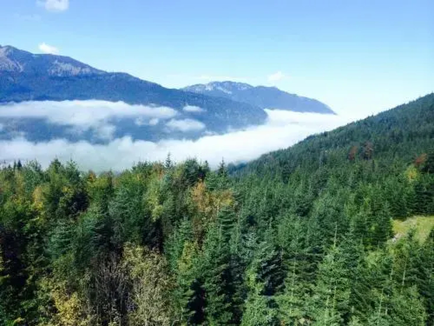 Golden GaPa Penthouse 1