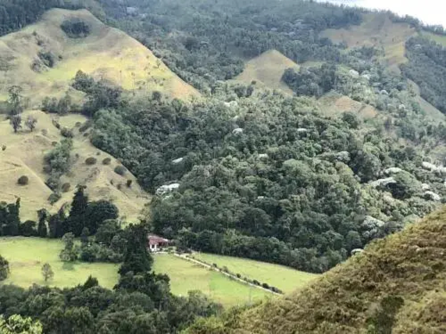 Reserva El Cairo - Valle de Cocora