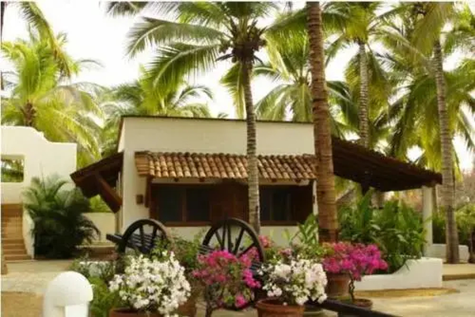 Bungalows Solecito
