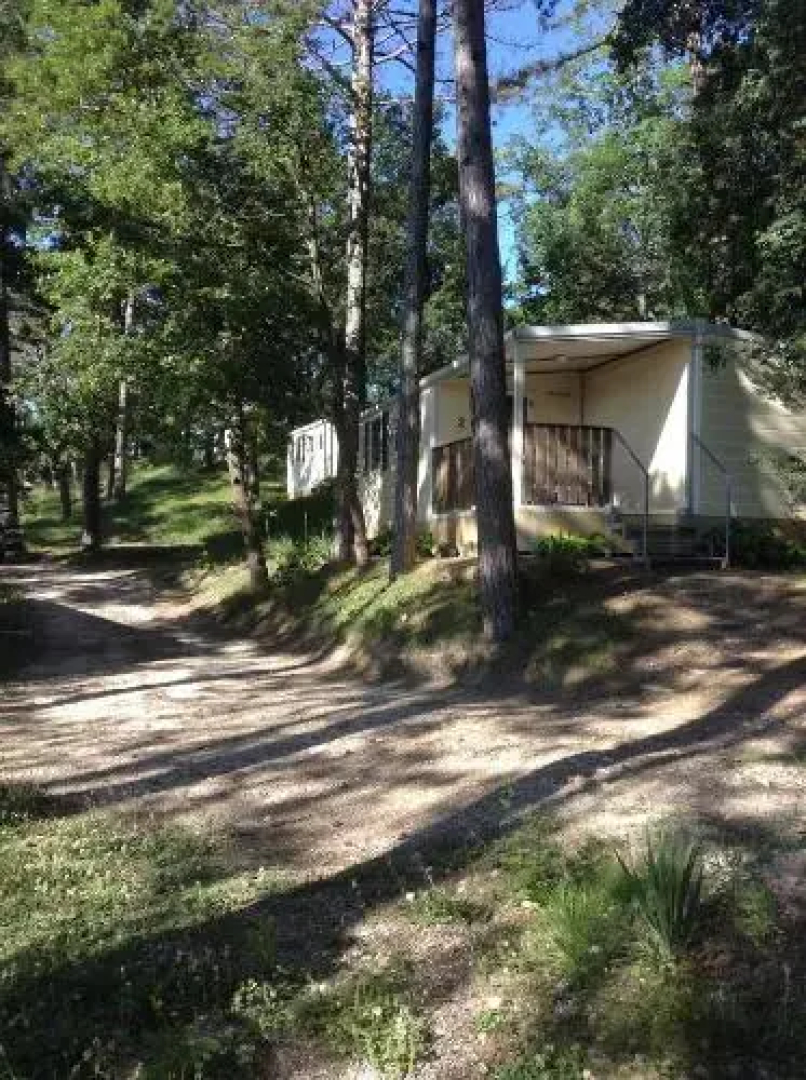 Camping Pineta