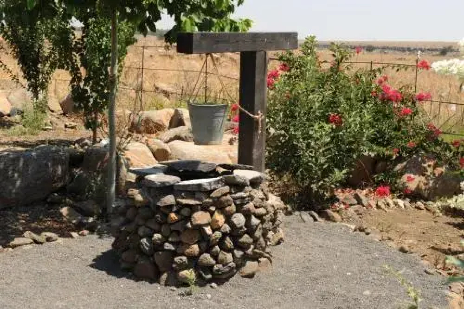 Vered Ha'Golan