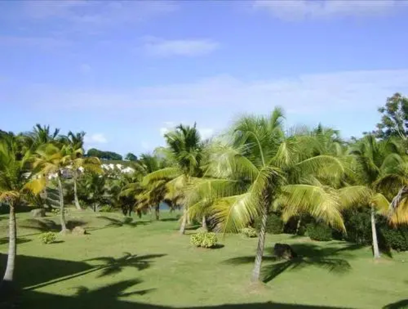 Rio Mar Village - Golf Course View