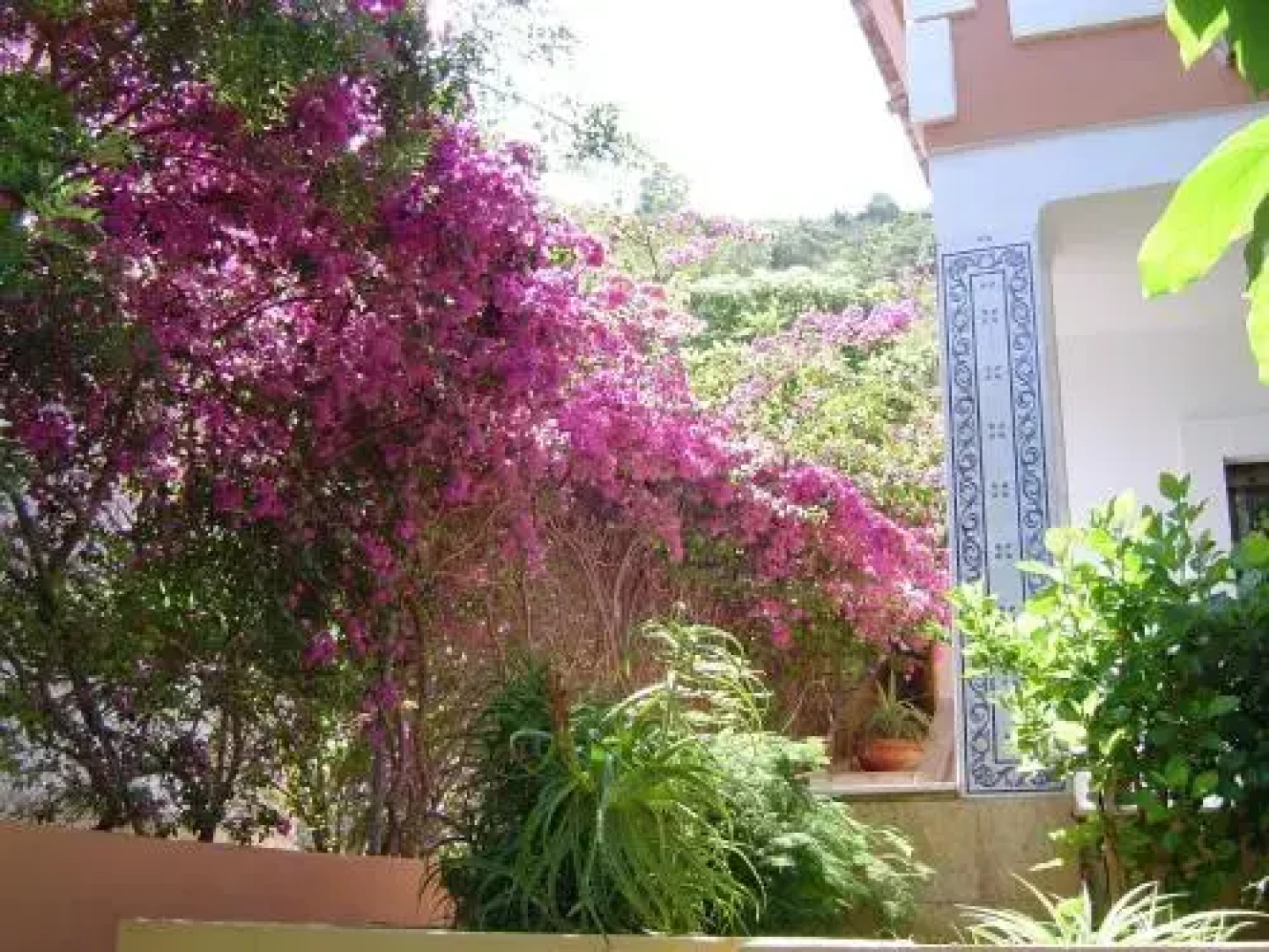 Casa La Torreta