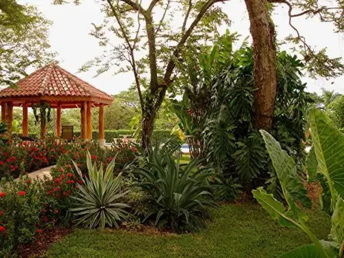 Condominium Villas Venado