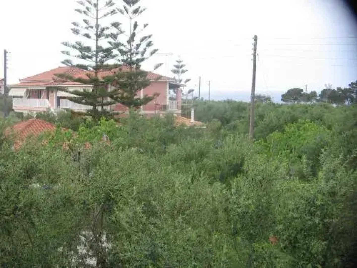 Dimaras Apartments