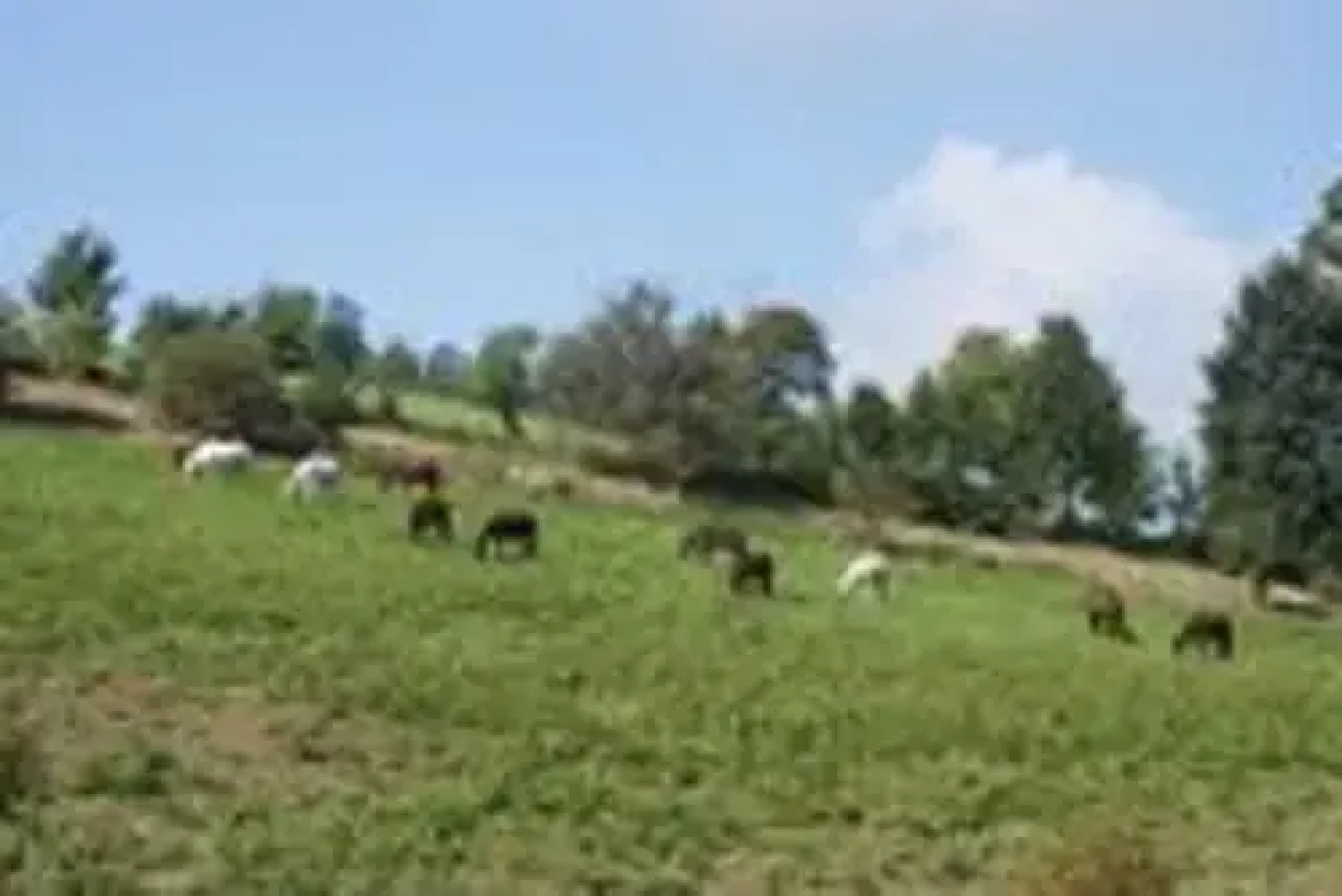 Holiday Home Gumprechtsfelden