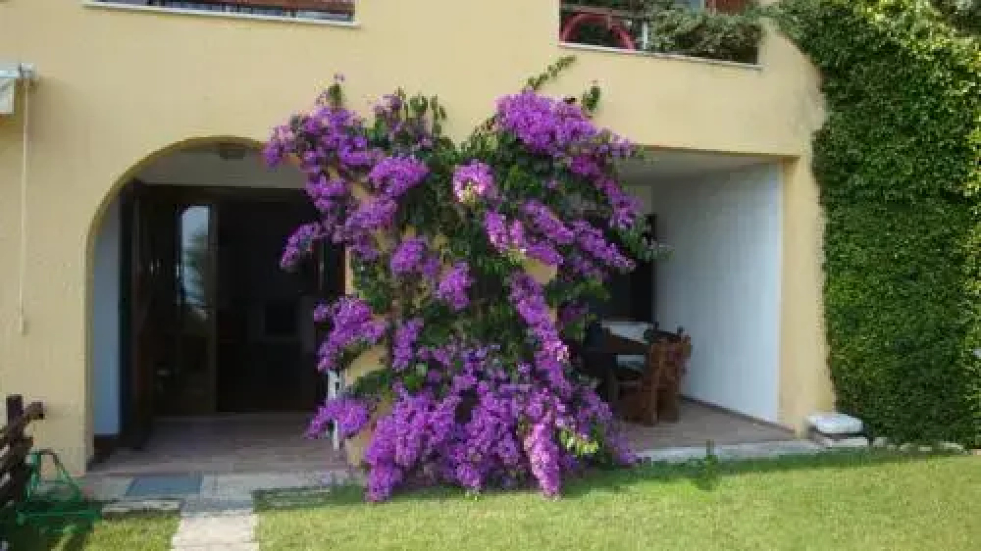 Apartment Bougainvillea
