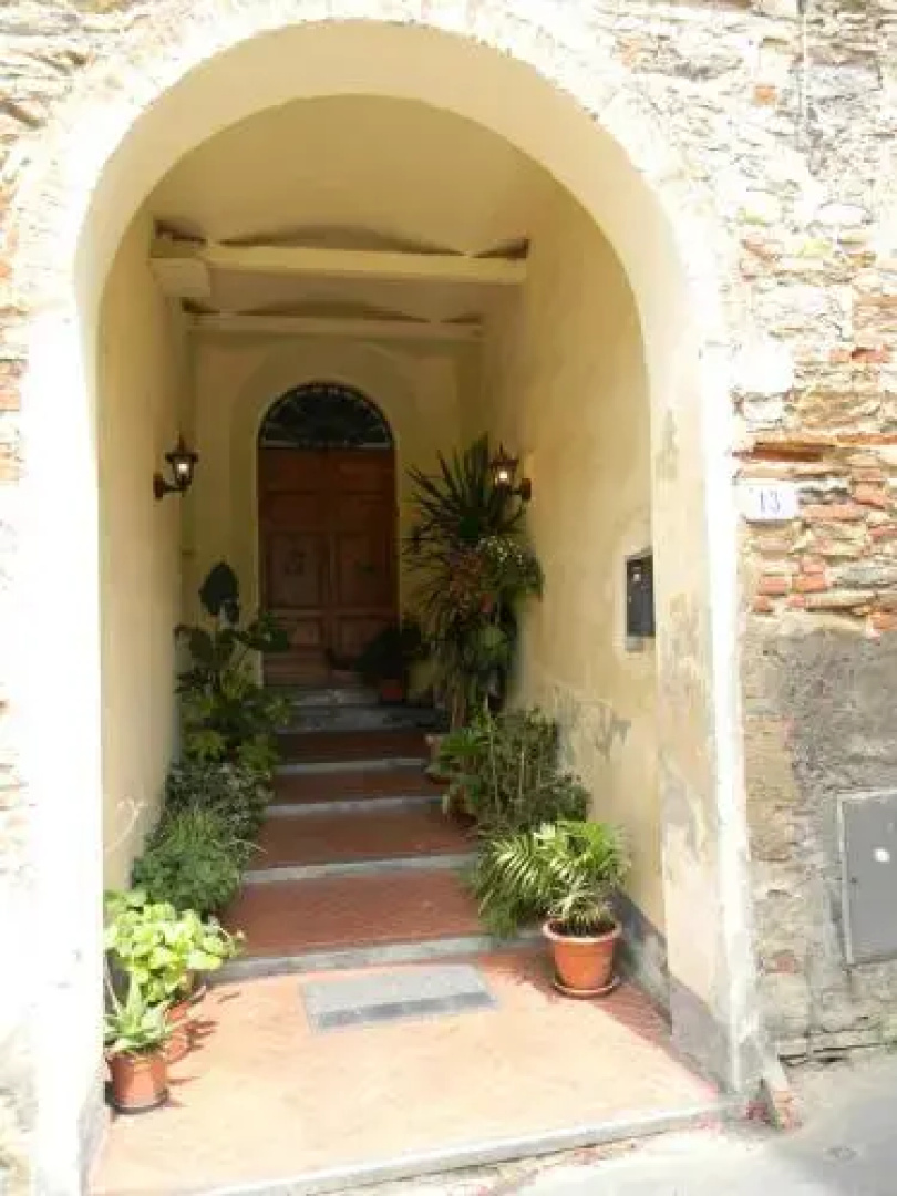 Casa David