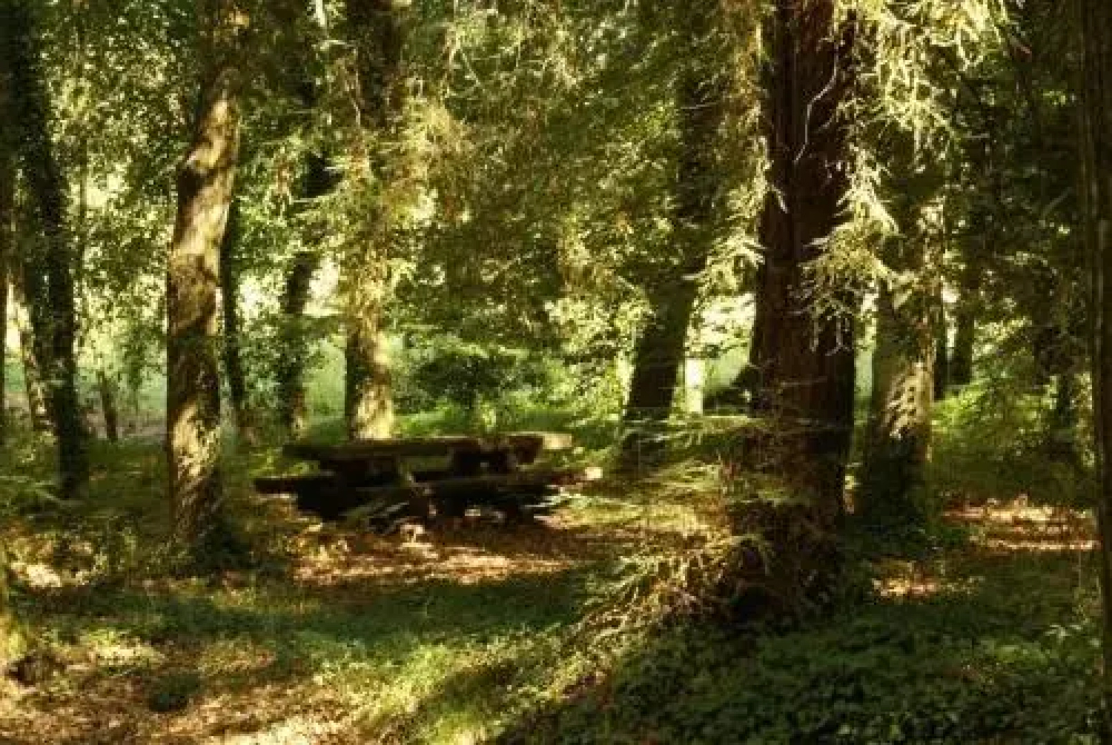 Quinta da Fontoura