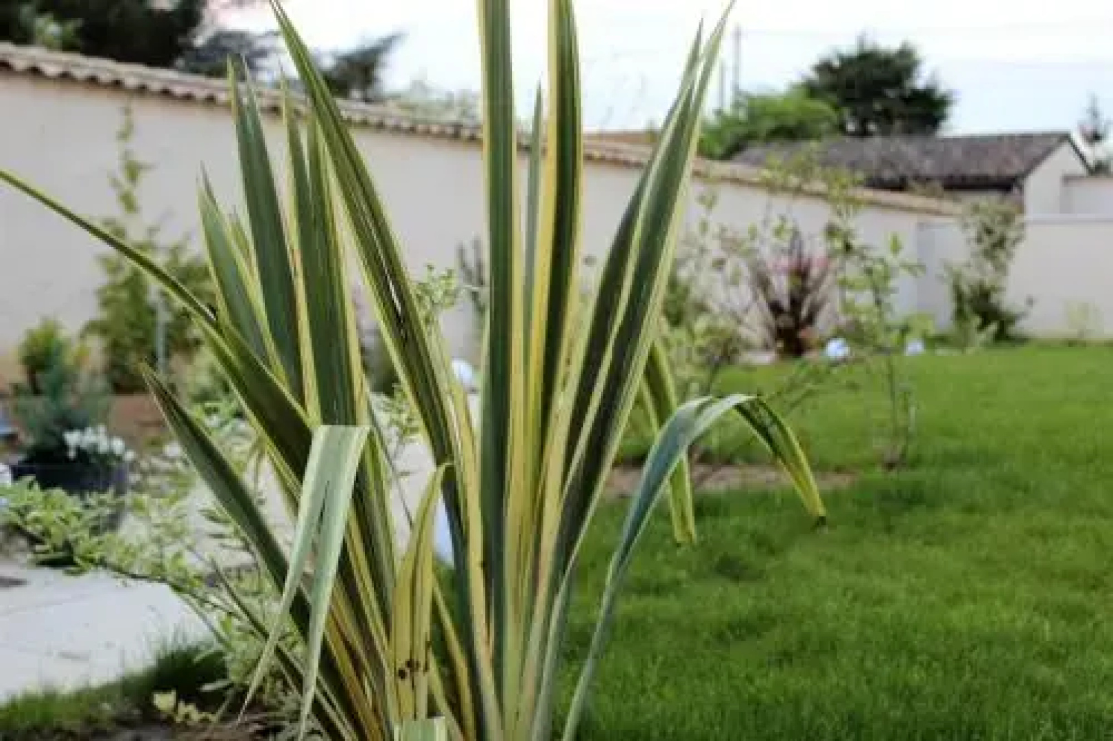 De la Chambre au Jardin