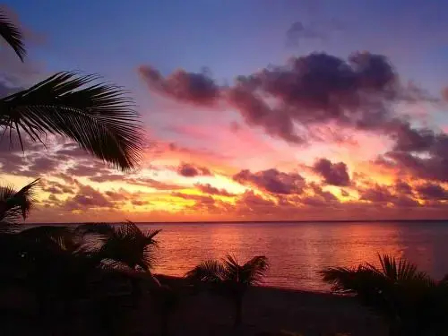Vaiorea Beach House