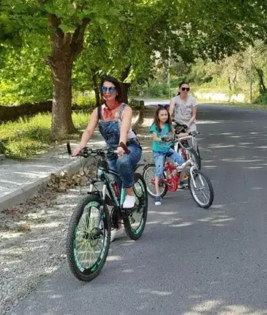 Guest House Borjomi