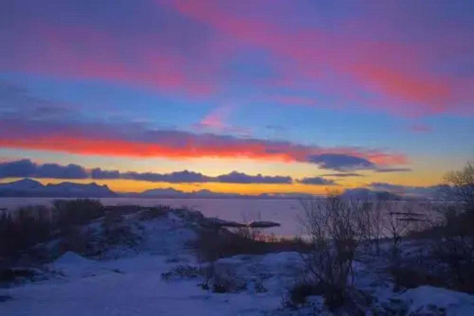 Vestfjord Service Villa