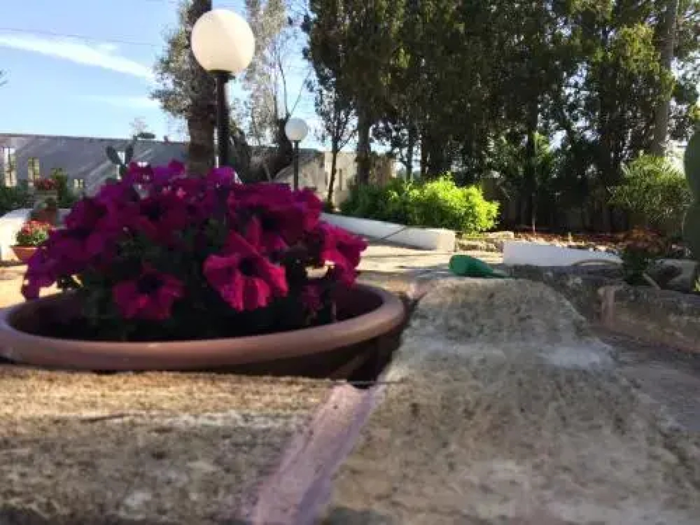 B&B Masseria Nova
