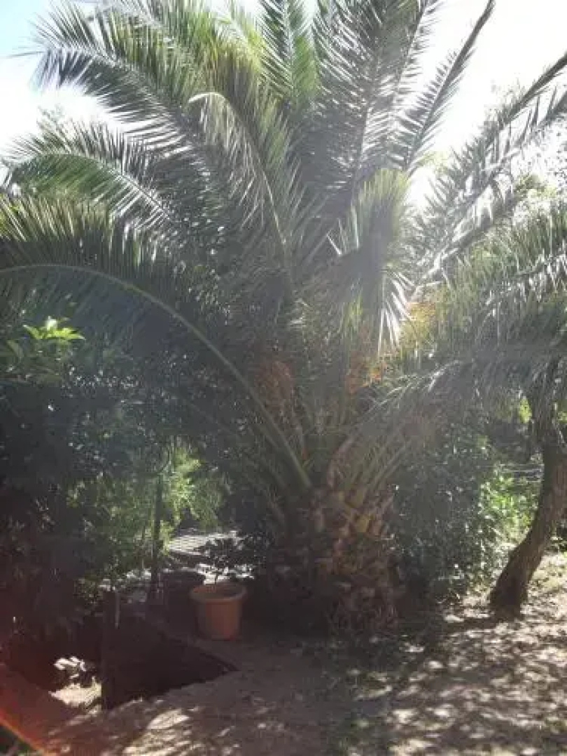 Gîtes de Pietrabugno