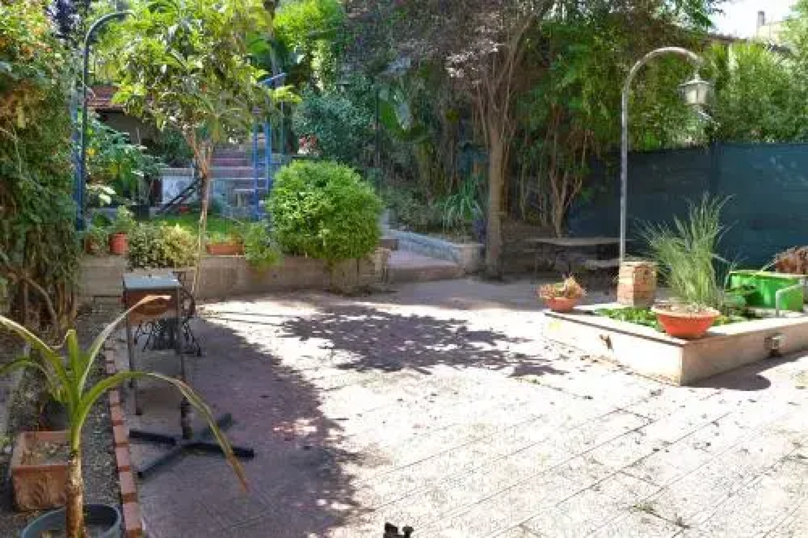 Il Signo Cocco Aci Trezza