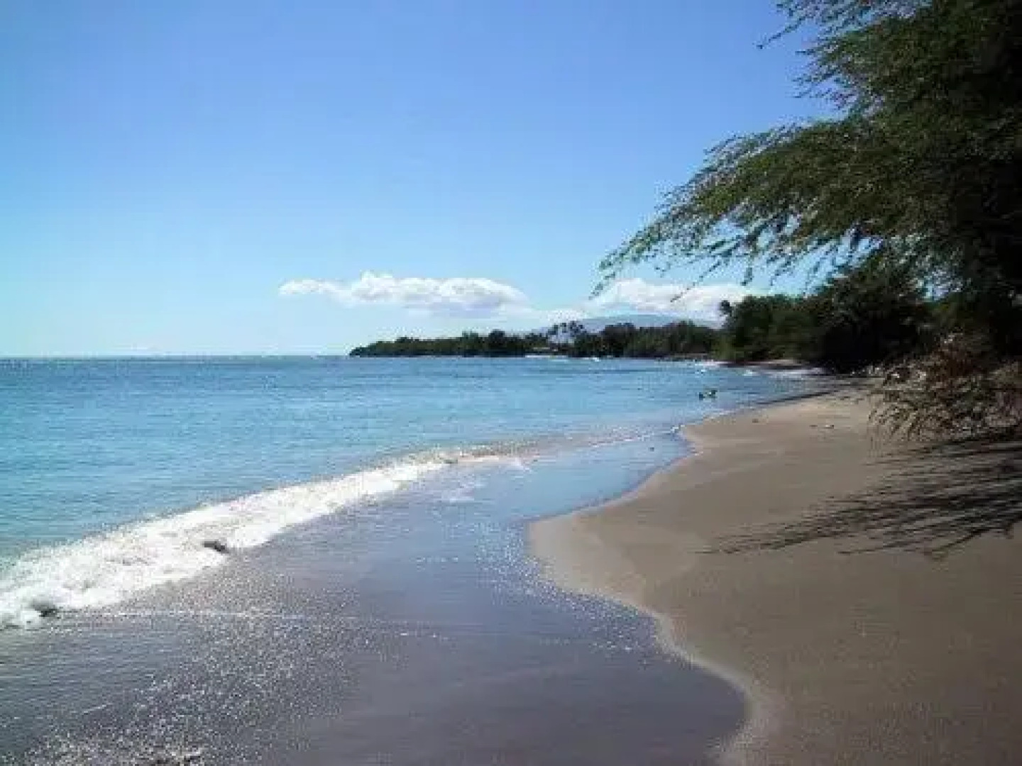 Maui Suncoast - Maui Vista