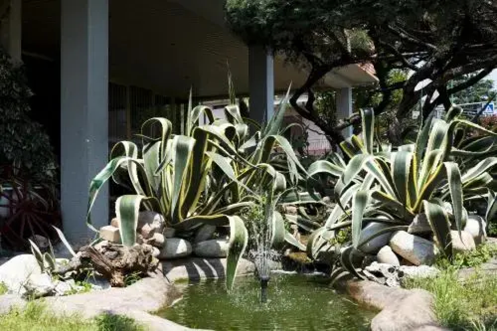 B&B Villa Bergamo Airport