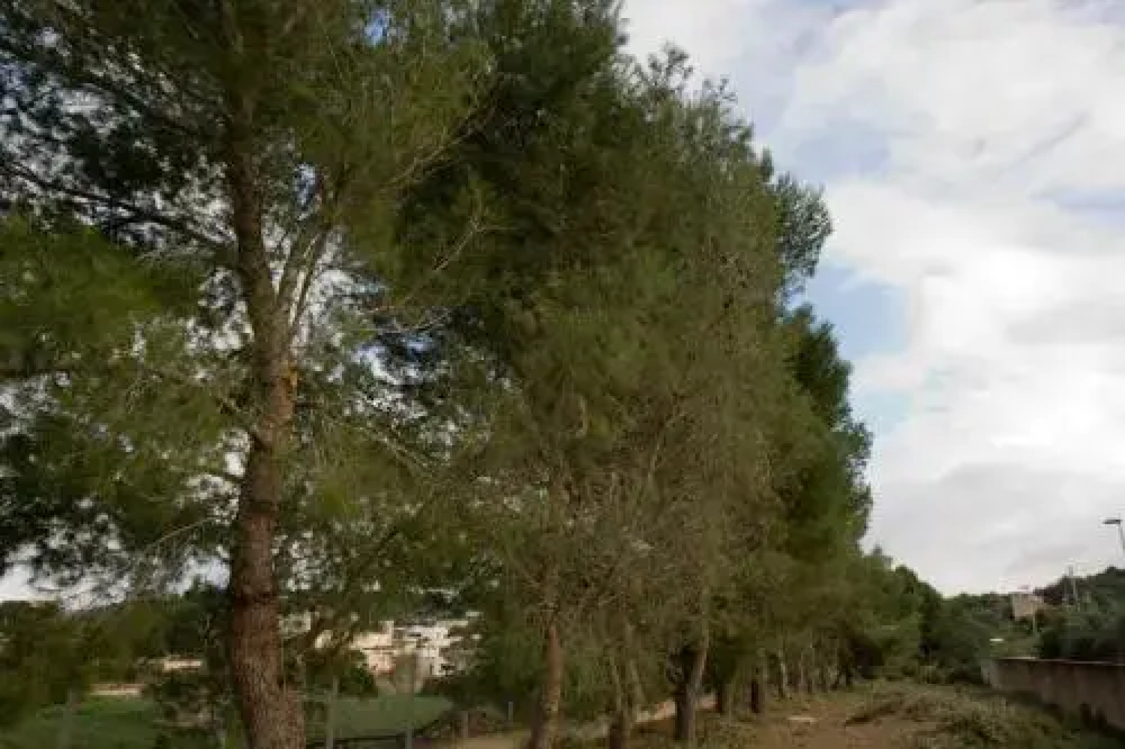 Casa Nel Verde