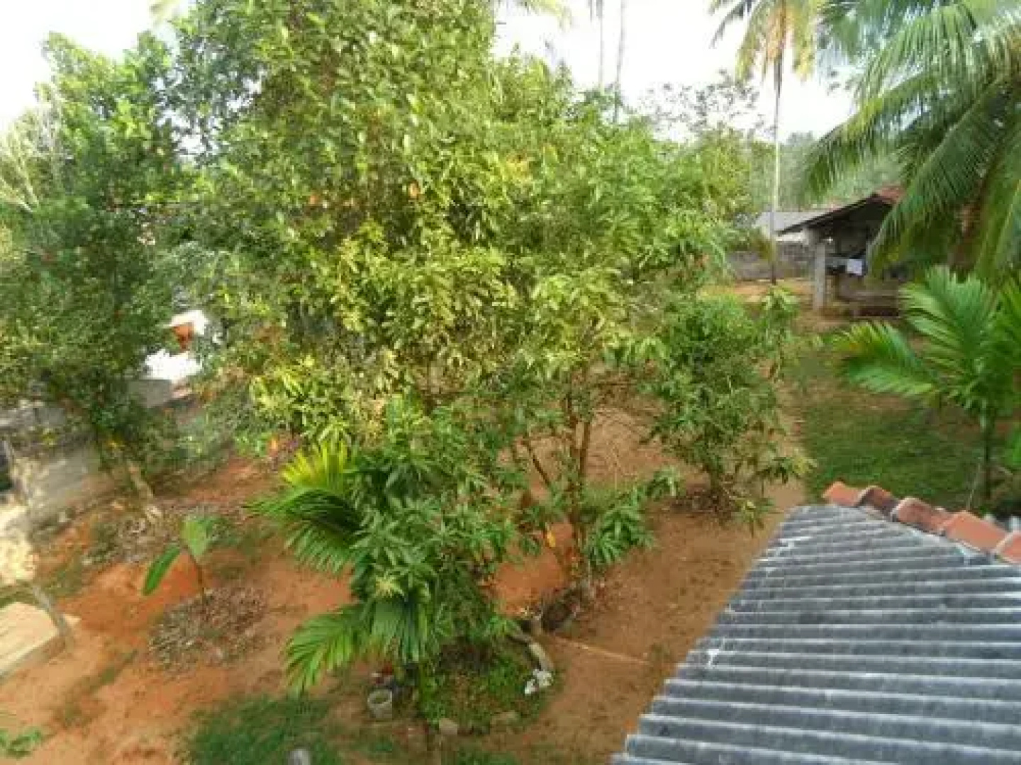 Country House Sachi