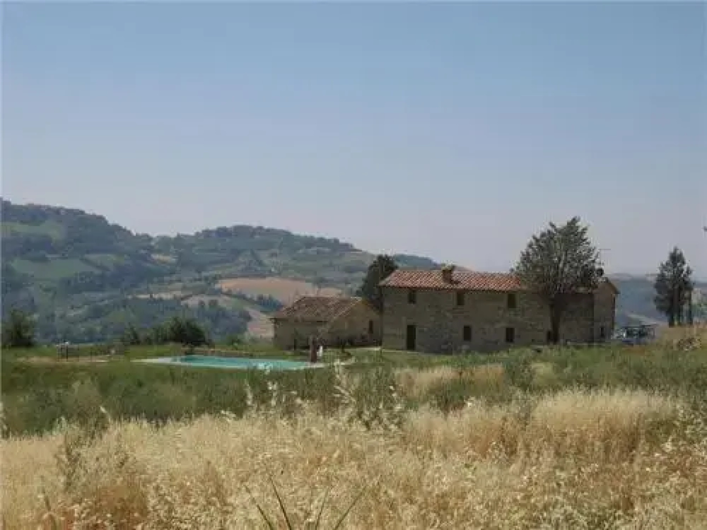 Villa Podere Oliveto