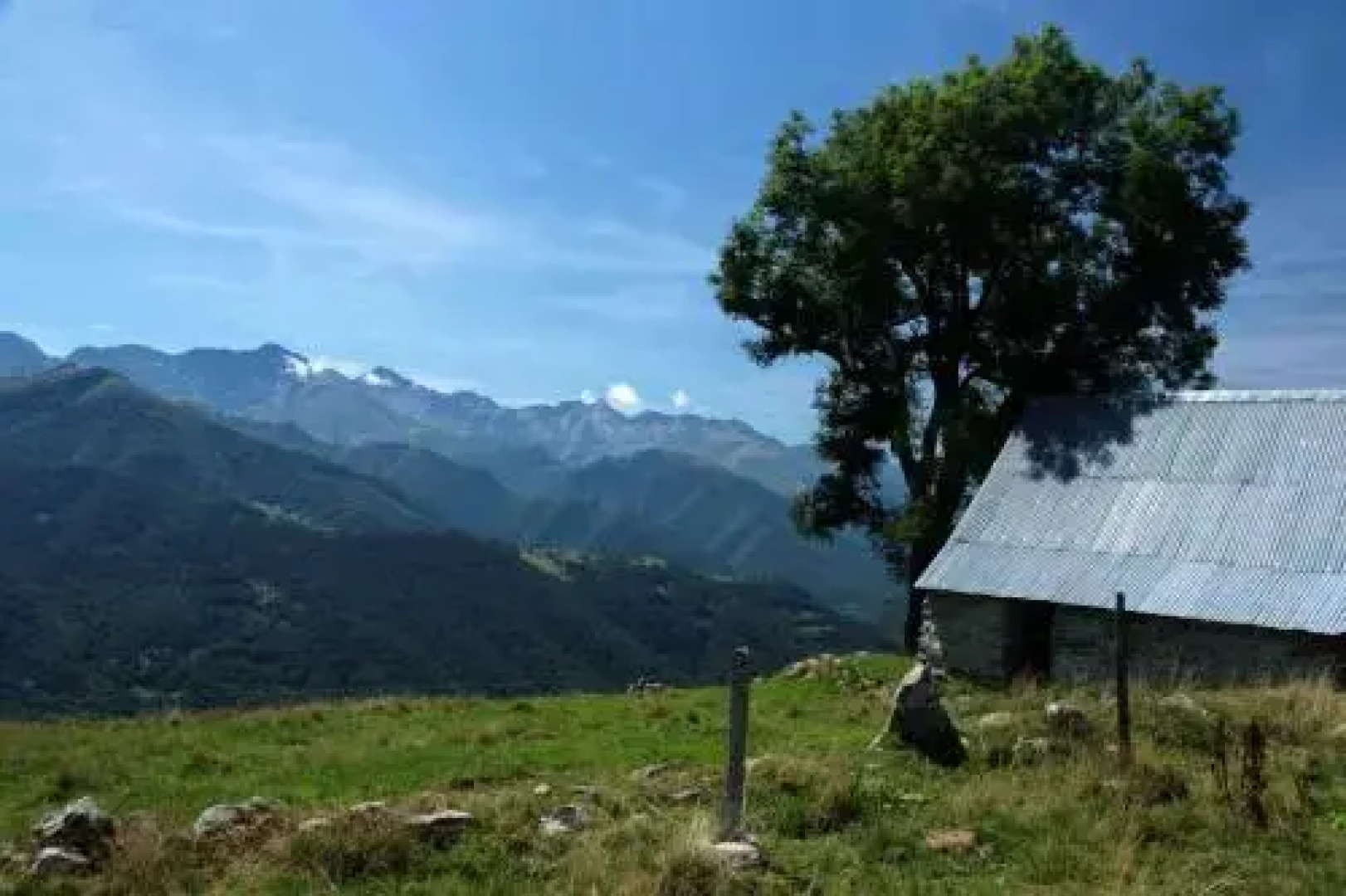 La Vigne Vierge