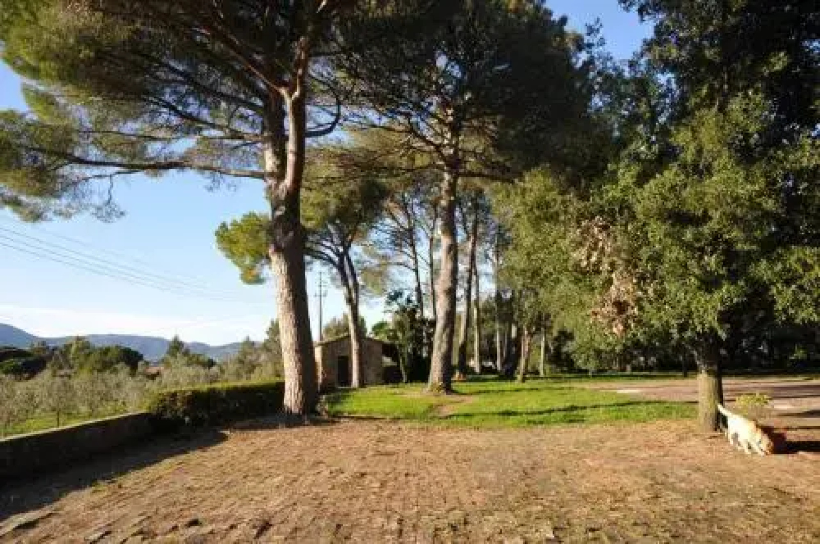 Castello di Casalappi