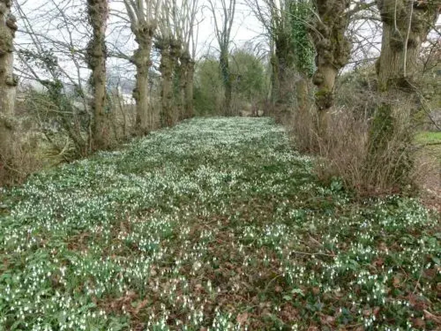 Domaine de la Houzardiere