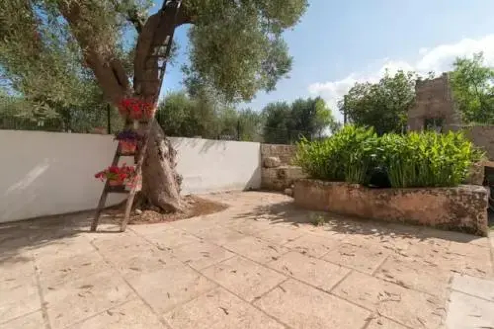 Tenuta Palummaru