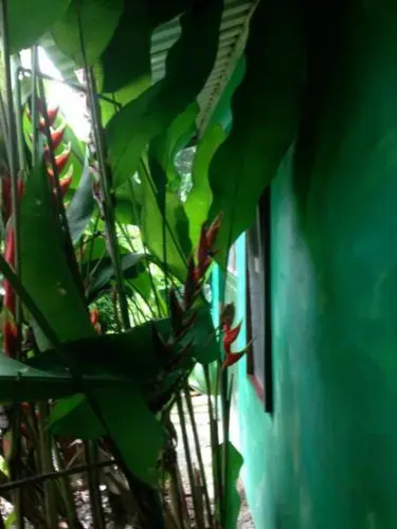 Saladero Eco Lodge
