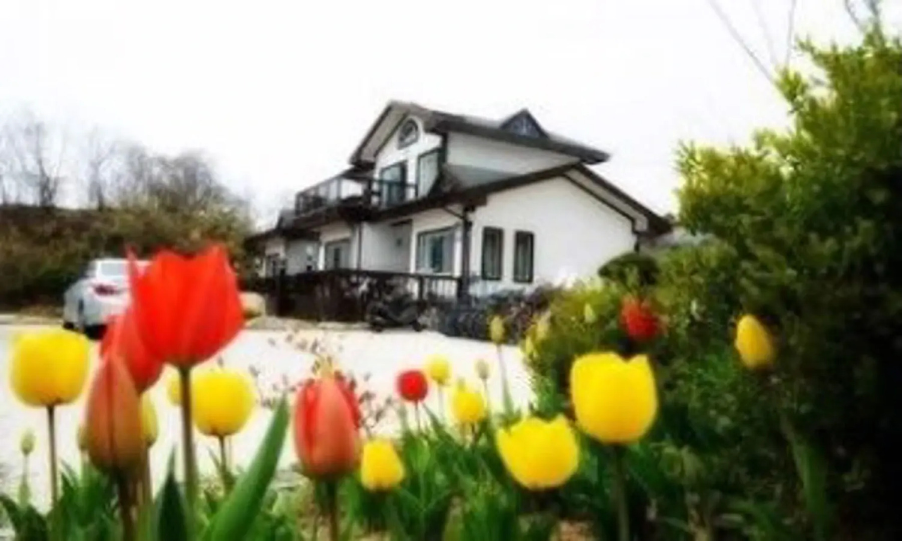 GN Guesthouse - Hostel