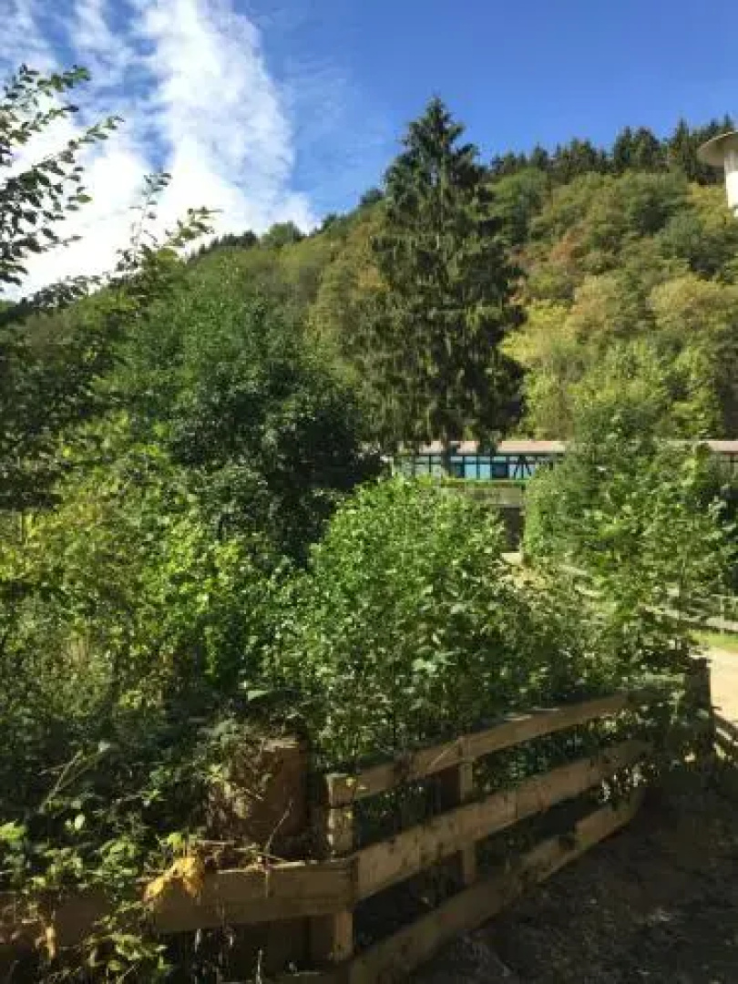 Hotel-Restaurant Tannenhof