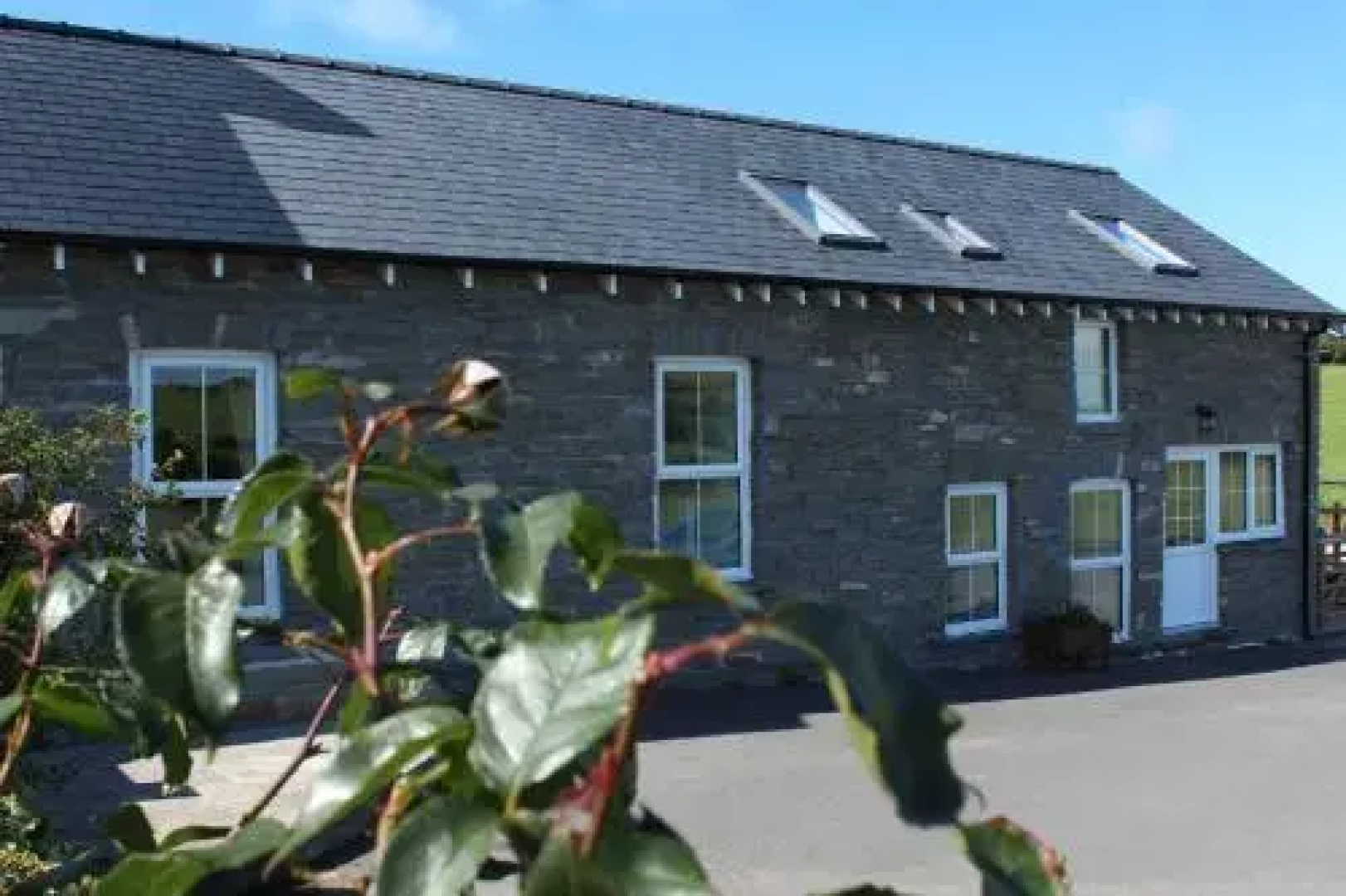 Brynheulwen