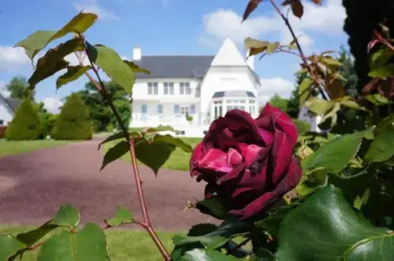 Maison d'Hôtes Villa Roffa